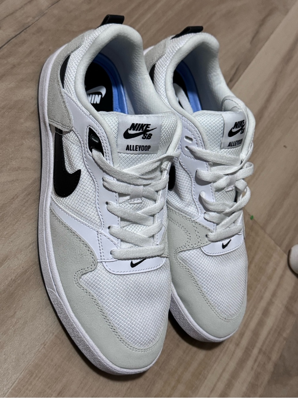 Nike SB Alleyoop Men's Sneakers - White/Black